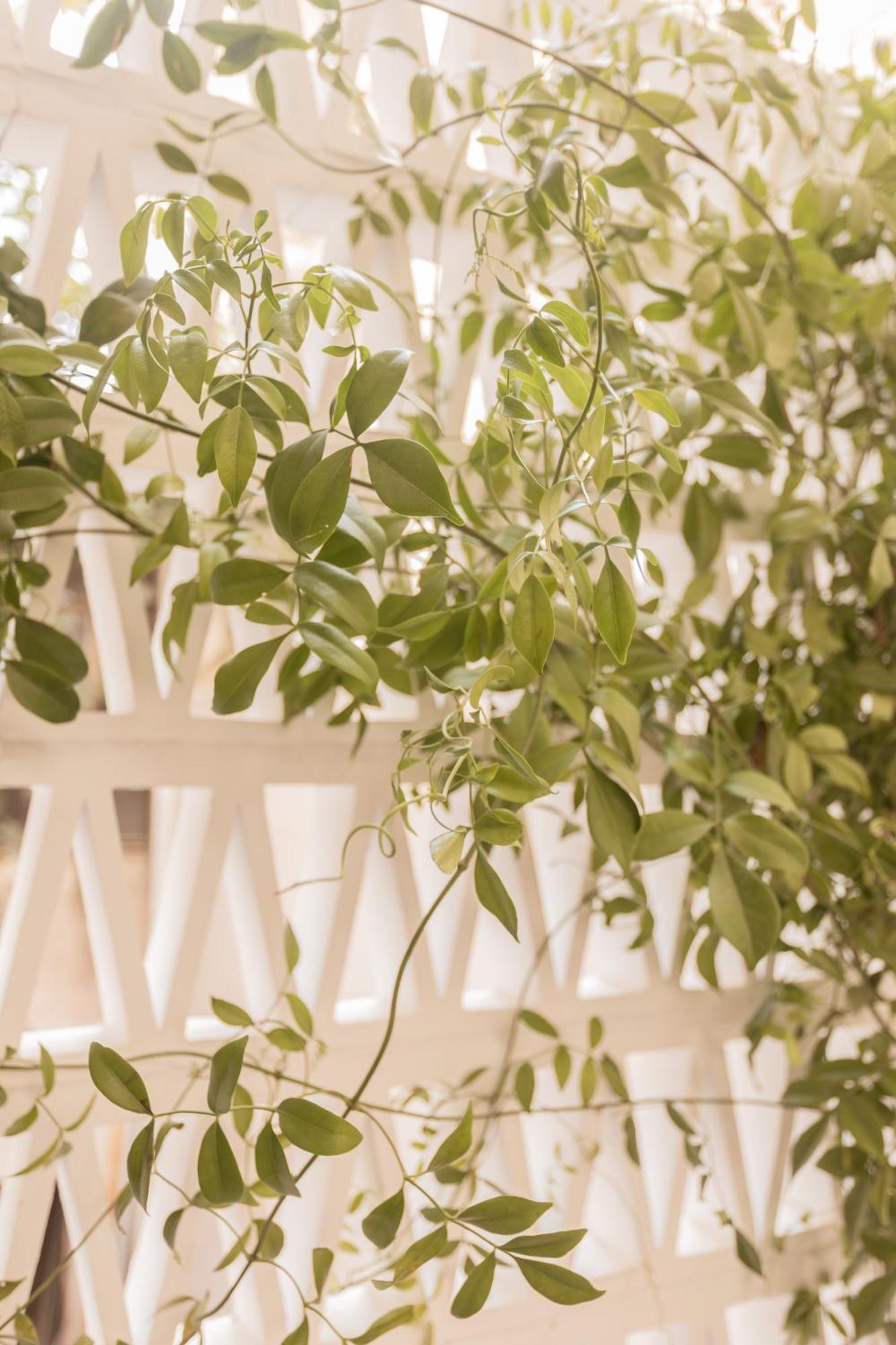 Elegant Apartment A Breath Away From The Acropolis Atene Esterno foto